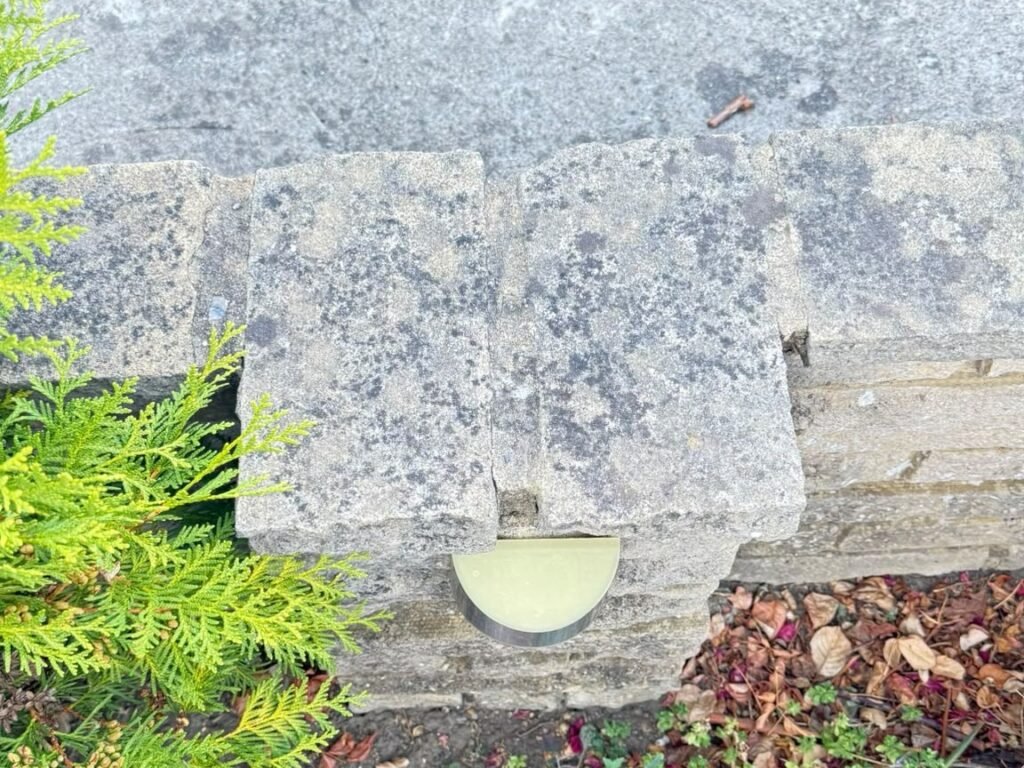 Garden wall coping stones blackened with lichen and moss before laser cleaning